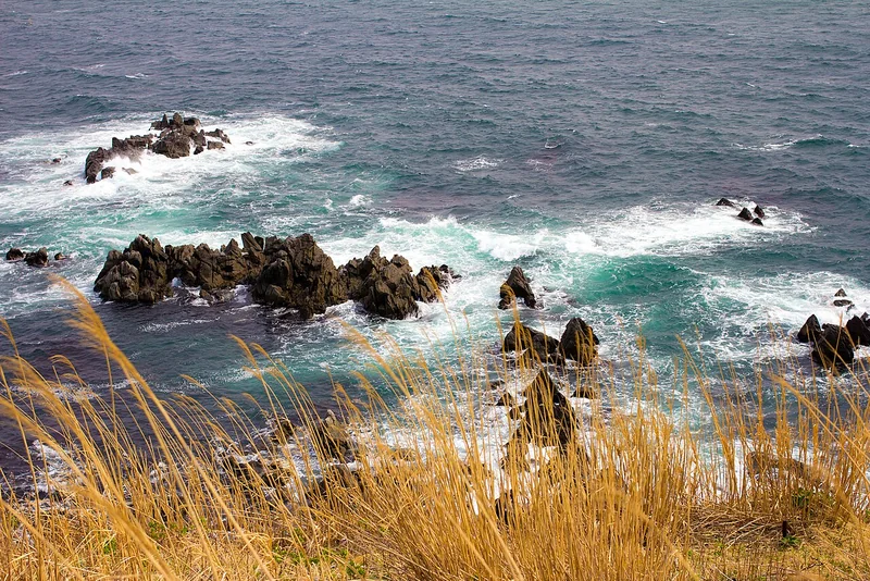 Waves breaking against the rocky shoreline at Cape Tachimachi in Hakodate