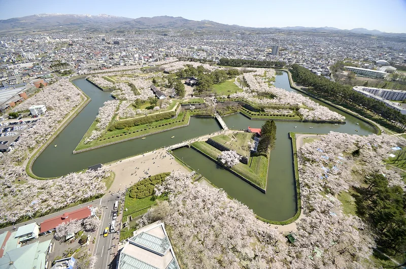 The star-shaped moat of Goryokaku surrounded by spring cherry blossoms, seen from Goryokaku Tower