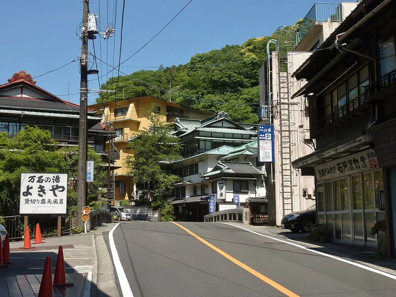 Tonosawa hot-spring neighbourhood beneath green hills, the setting for Hakone Yuryo; this is not the bath facility
