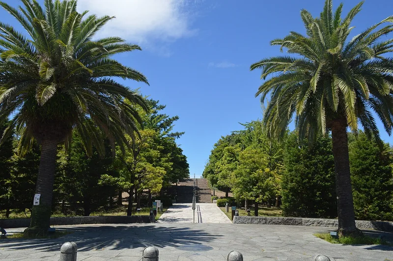 Palm-lined paths in Nagasaki Seaside Park