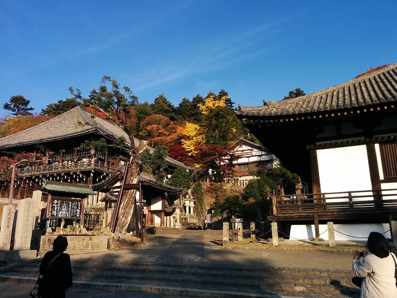 Nigatsudo Hall and its stairway among autumn trees at Todaiji