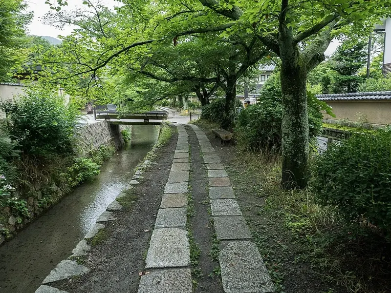 The tree-lined canal beside the Philosopher's Path