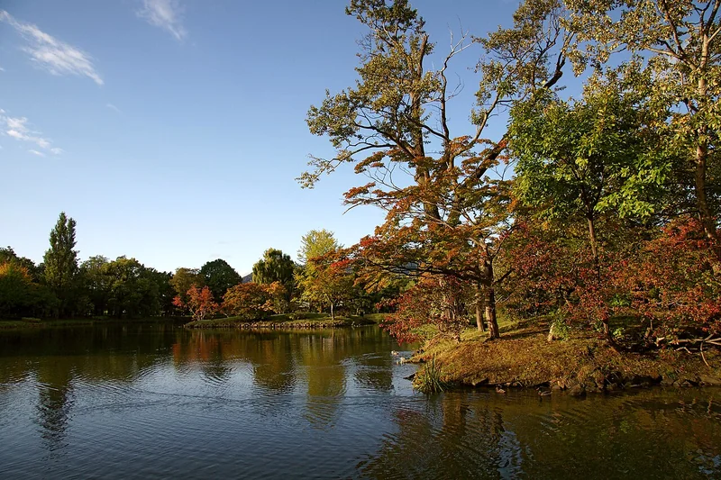 Autumn trees beside the pond in Nakajima Park
