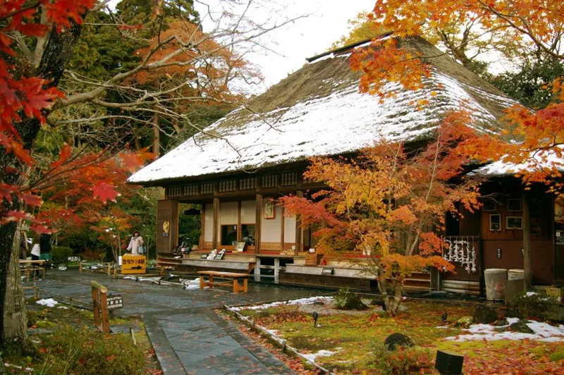 Autumn leaves around a temple building in Entsuin’s garden
