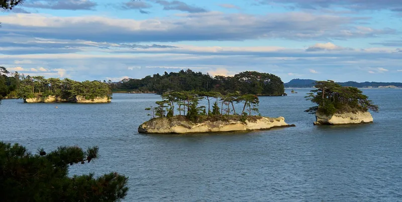 Pine-covered rocky islands in Matsushima Bay