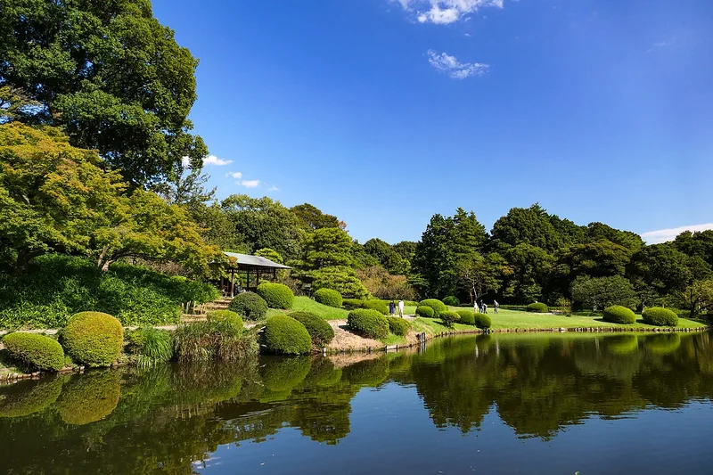 Green trees reflected in the Japanese garden pond at Shinjuku Gyoen