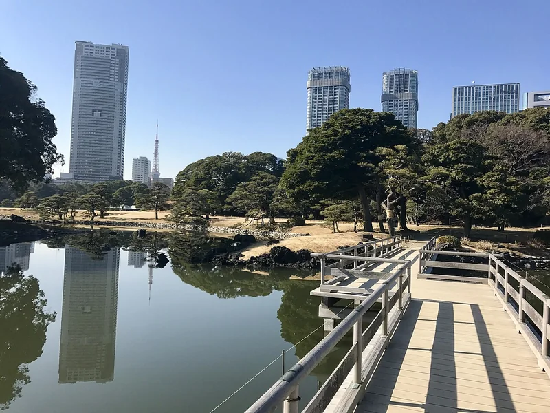 A wooden footbridge and still garden pond with city buildings beyond at Hama-rikyu Gardens