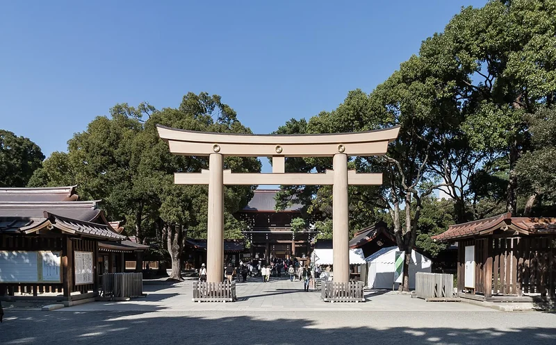 The broad wooden torii and shrine buildings at Meiji Jingu beneath a blue sky