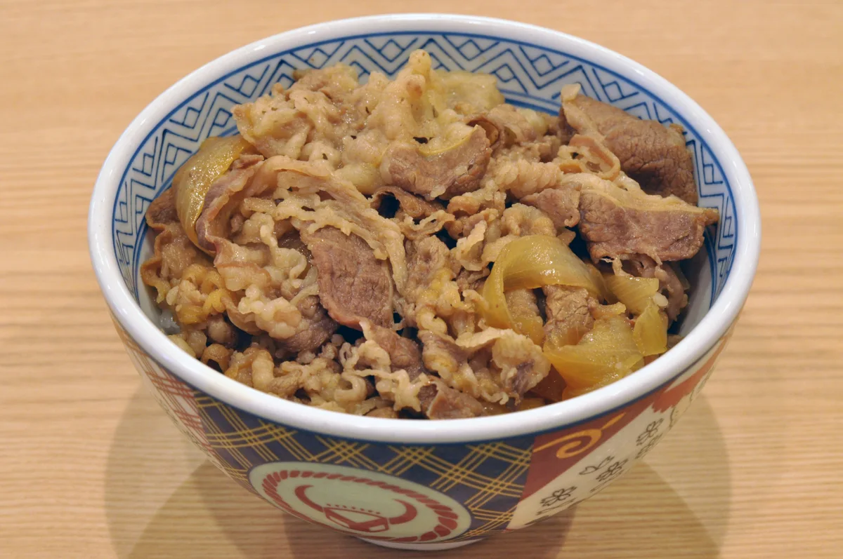 Gyudon, a bowl of rice topped with beef and onion.