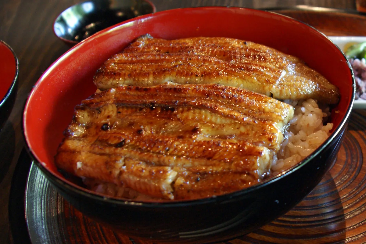 Glazed grilled eel on rice.