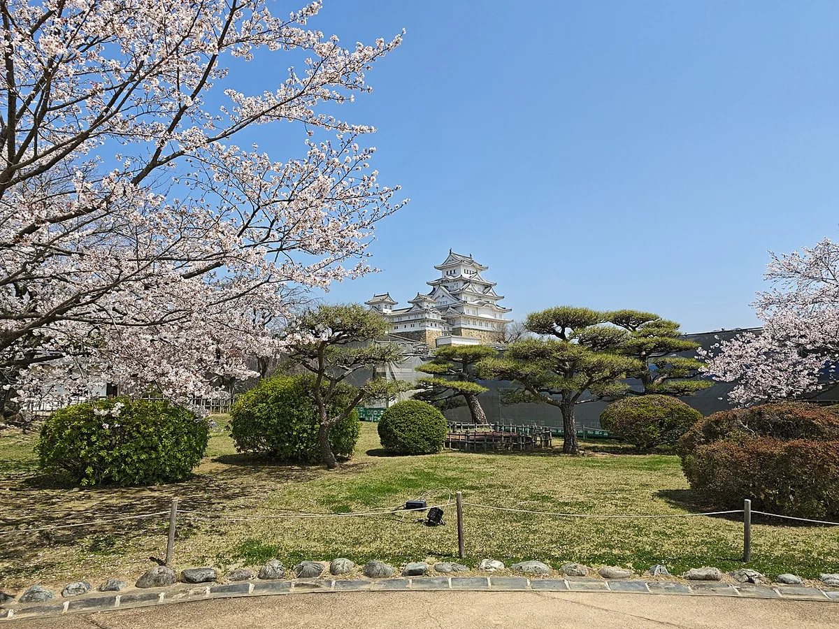 Himeji Castle above spring cherry blossoms