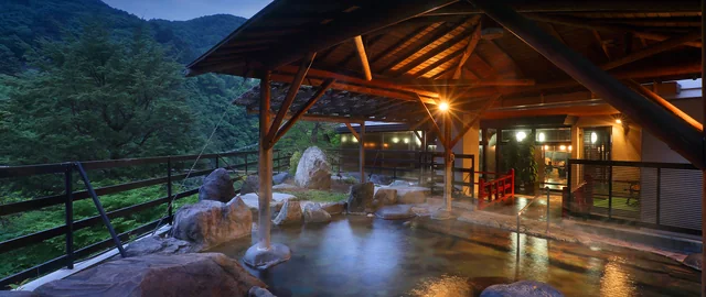The outdoor hot-spring bath at Hotel Sunshine Kinugawa, surrounded by wooded slopes