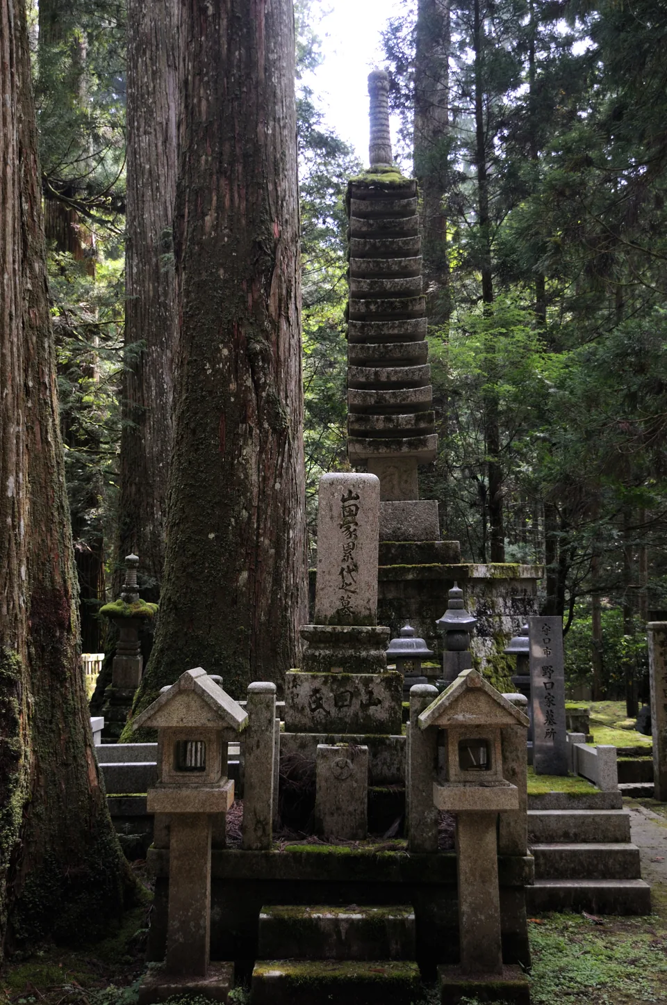 Cedar-lined path at Okunoin in Koyasan