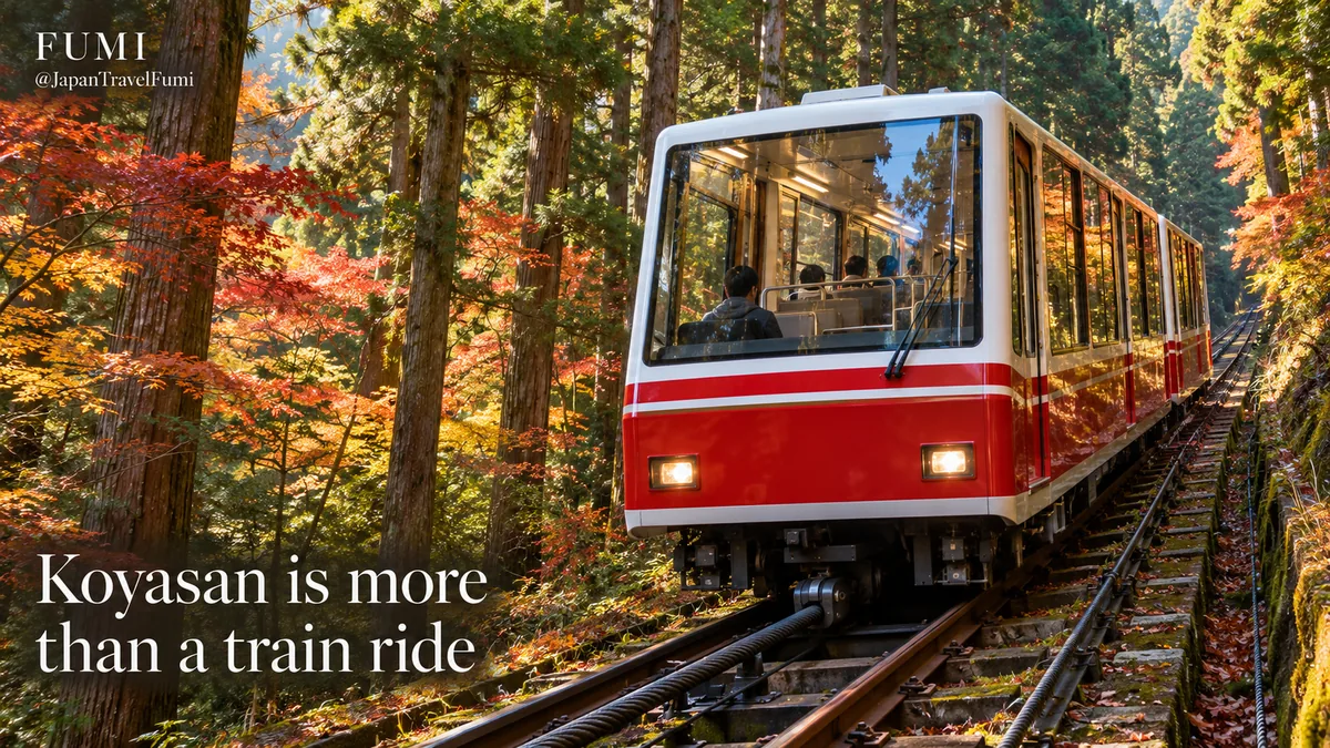 Red-and-white Koyasan funicular cable car climbing a wooded slope, framed by cedar forest. Original Fumi photographic illustration; not a documentary photograph.