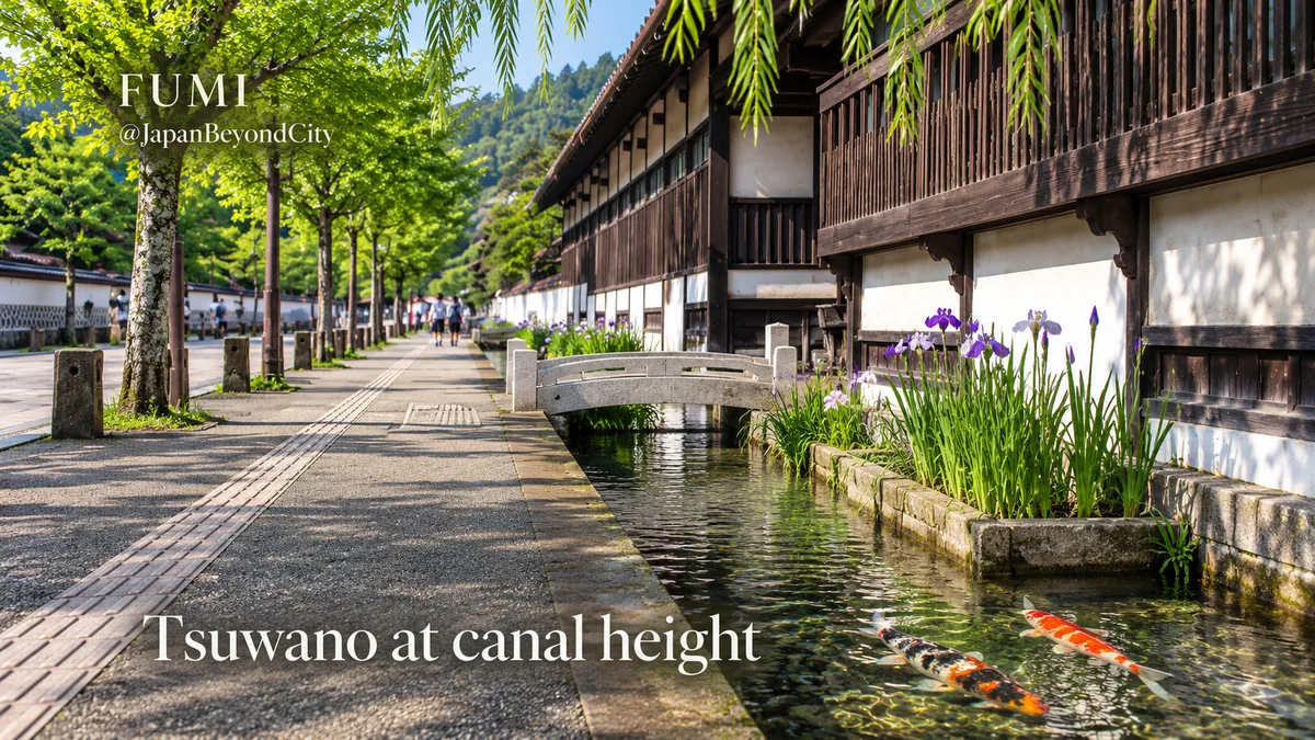 Koi swim in a narrow stone-lined channel beside Tsuwano’s white walls and timber facades. Original Fumi illustration.
